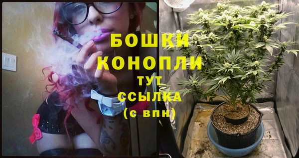 каннабис Аркадак