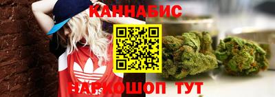 прущие грибы Туймазы