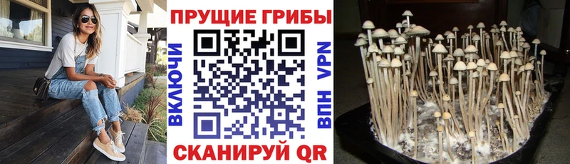 Галлюциногенные грибы прущие грибы  наркота  Новоуральск 