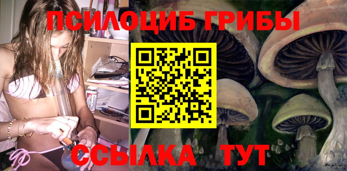 Псилоцибиновые грибы Psilocybe Новоуральск