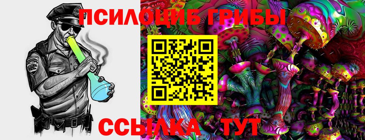 Галлюциногенные грибы MAGIC MUSHROOMS  Вход с VPN  Новоуральск 